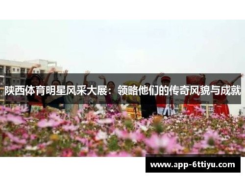 陕西体育明星风采大展：领略他们的传奇风貌与成就